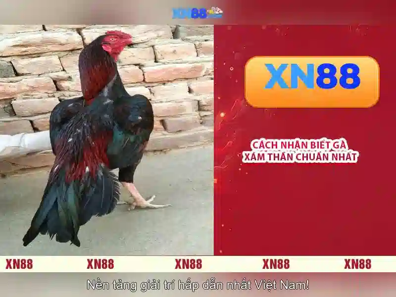 💎bonus land free slots💎