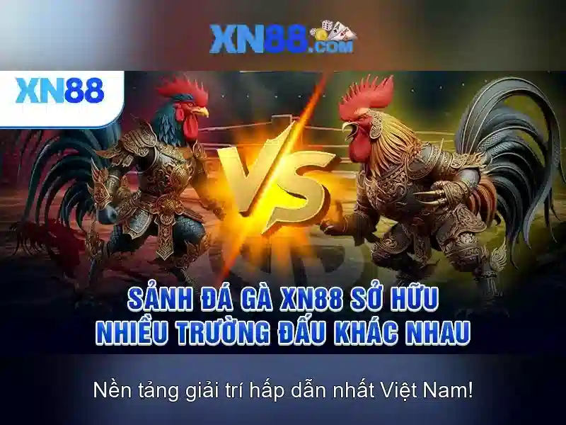💎kèo nhà cái bóng đá ý hôm nay💎