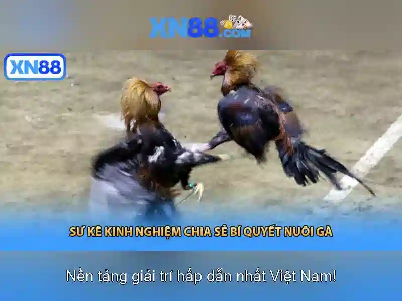 💎casino 888slot slot💎