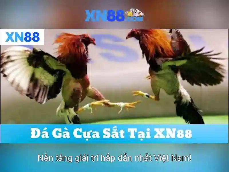 💎888slot free 100 no deposit bonus philippines💎