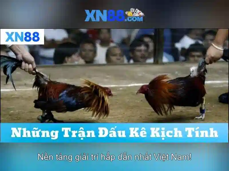 💎777 lucky xn88 slots casino💎