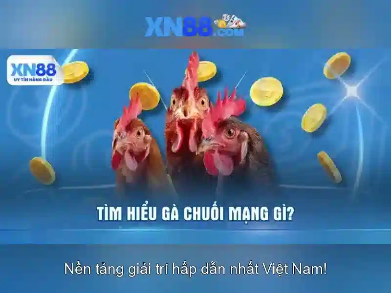 💎xn88 betting site💎