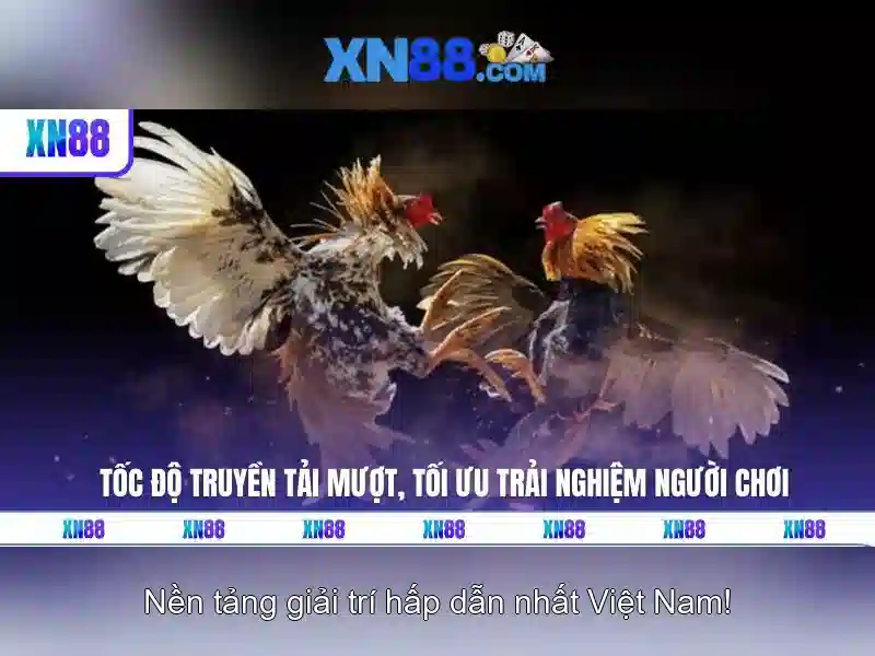 💎kèo nhà cái. con💎