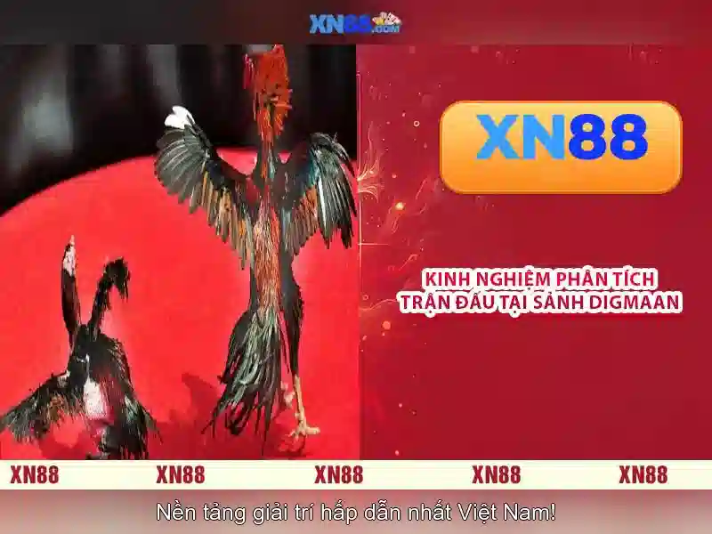 💎gói cước 4g vinaphone cả năm💎
