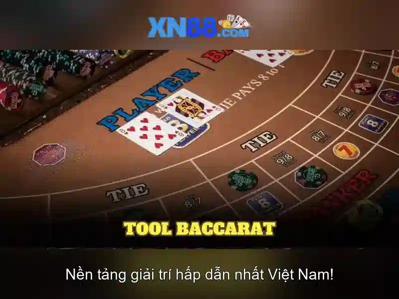 💎bunny★slot💎