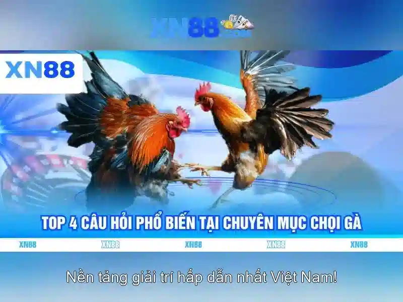 💎xn88 slot darwin nunez💎