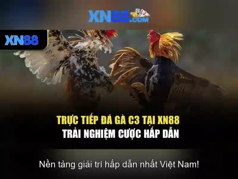 💎keo nha cai duc vs dan mach💎