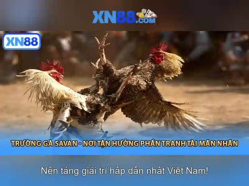 💎klopp and hb88 slot💎