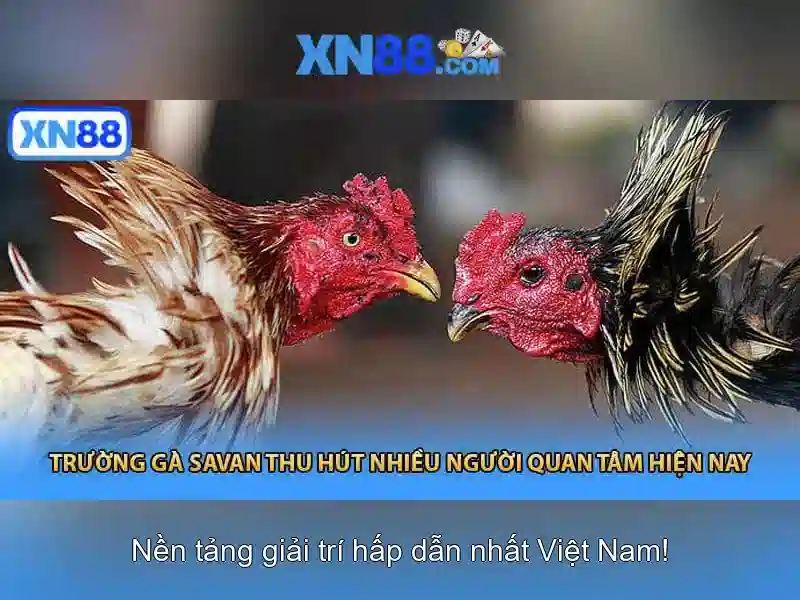 💎nhà cái bmw💎