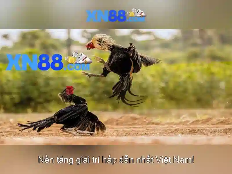 💎nhập code 66b💎 - 66b bet - perla+hvar+aparthotel+ivan+dolac+66b