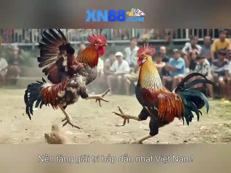 💎xe máy điện 888 slot💎