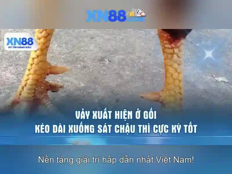 💎888slot com ph login💎