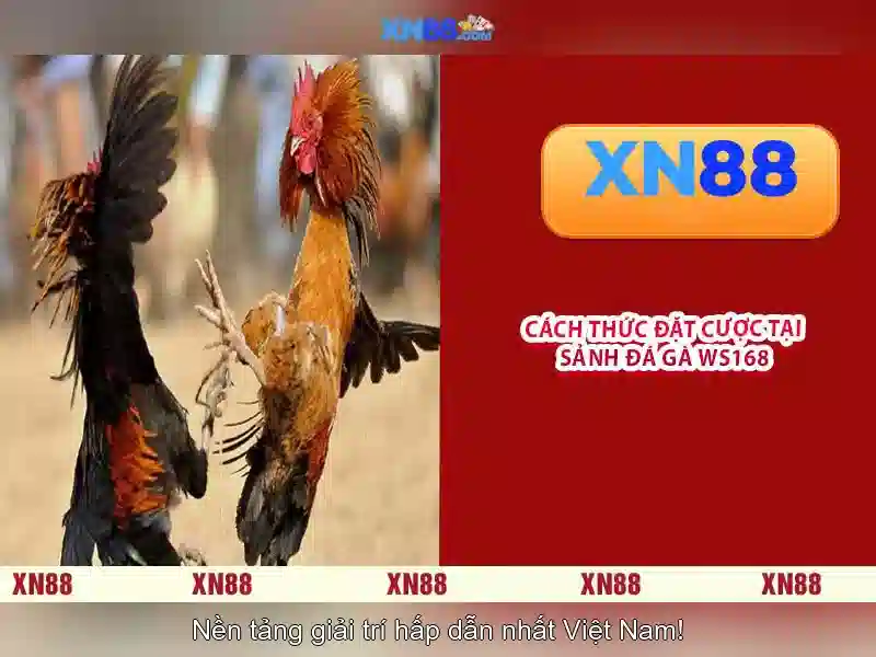 💎888slot bet casino💎