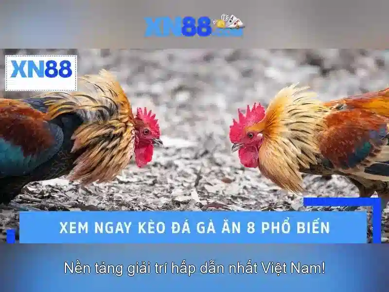💎trực tiếp bóng đá kéo nhà cái xoilac💎