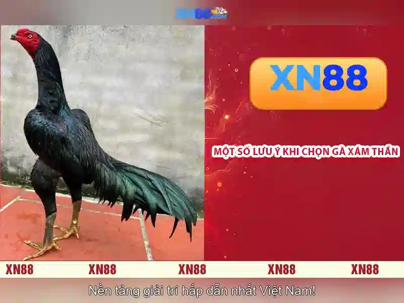Khuyến Mãi Đăng Ký – Ưu Đãi Cực Khủng Tại XN88 - XN88