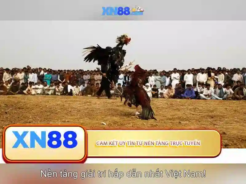 💎nohu 888 slot💎