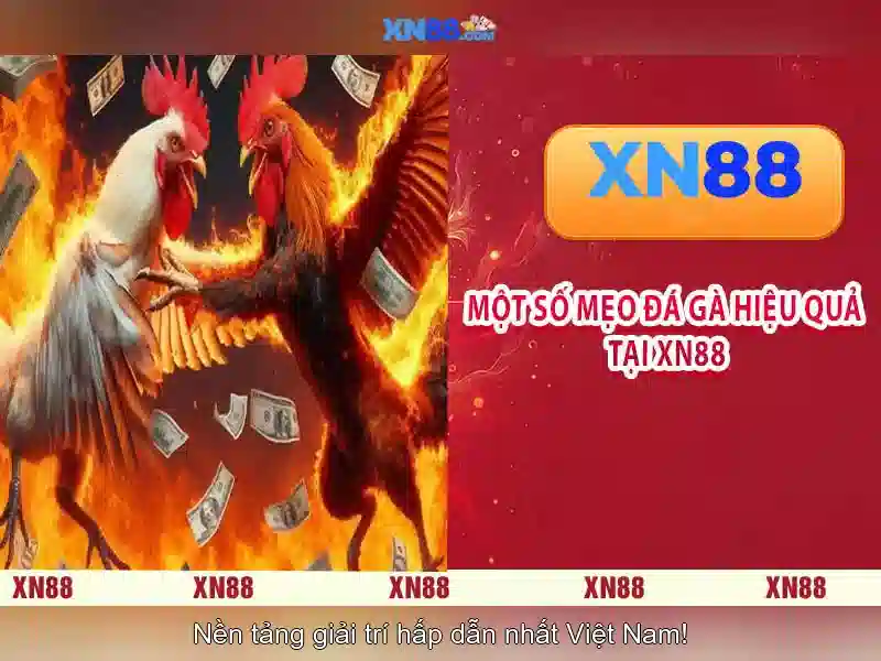  kèo chuẩn - XN88