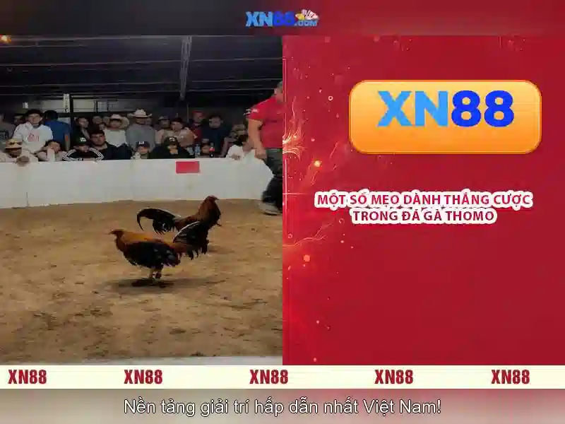 💎888 slot game hack💎