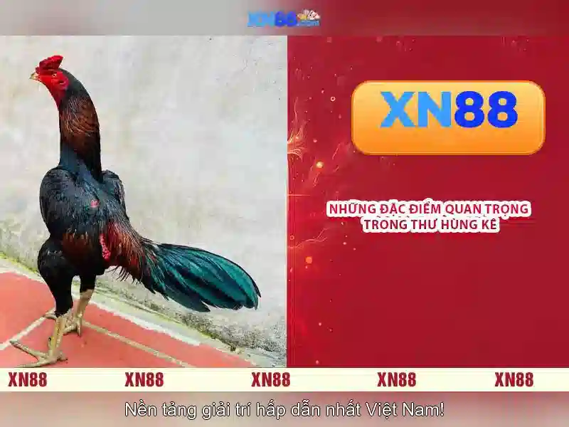 💎888 slot slot chant latest💎