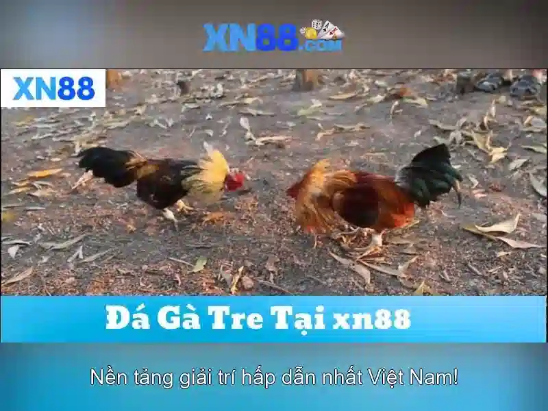 💎kwin68 game bài nổ hũ kwin💎