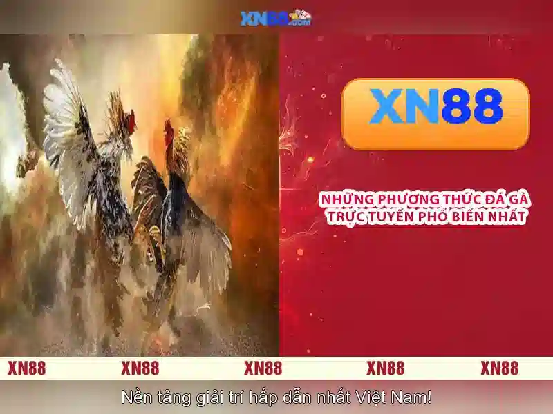 💎nhà xe duy quý cai lậy💎