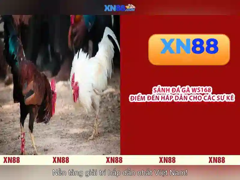 💎888 slot games india💎