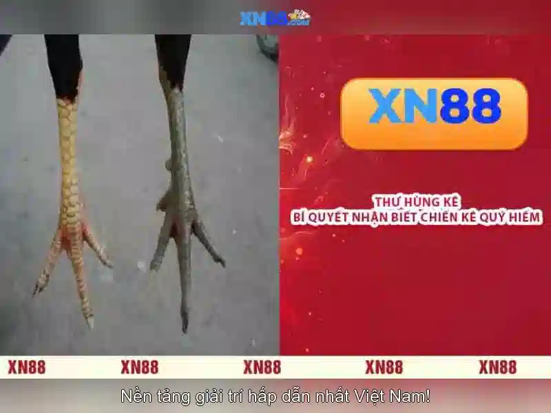 💎888 slot trong vòng 8,1 km💎