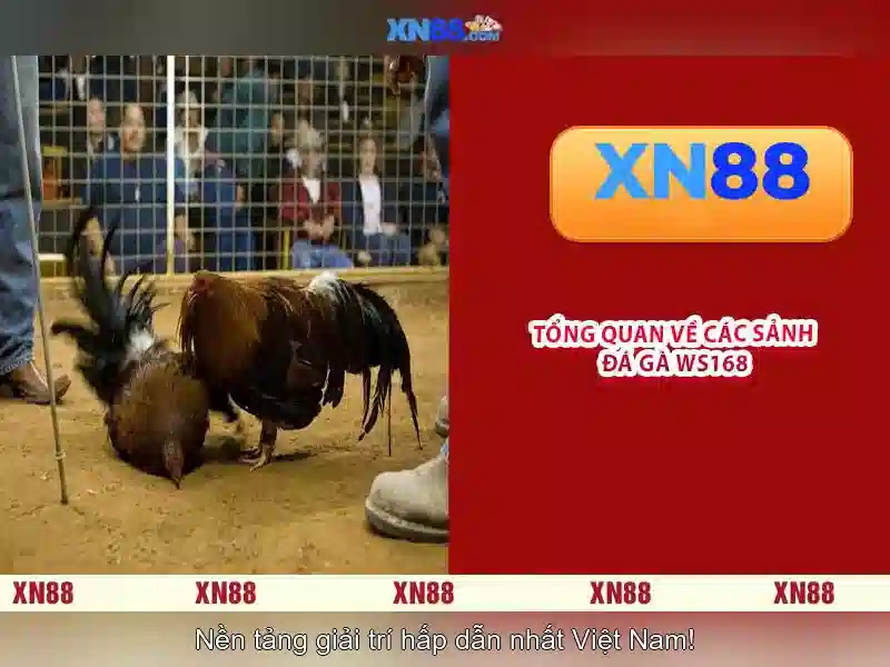 💎app 66b download💎 - cờ tướng 66b - 66b bus schedule