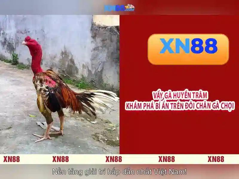 💎888slot live arena💎