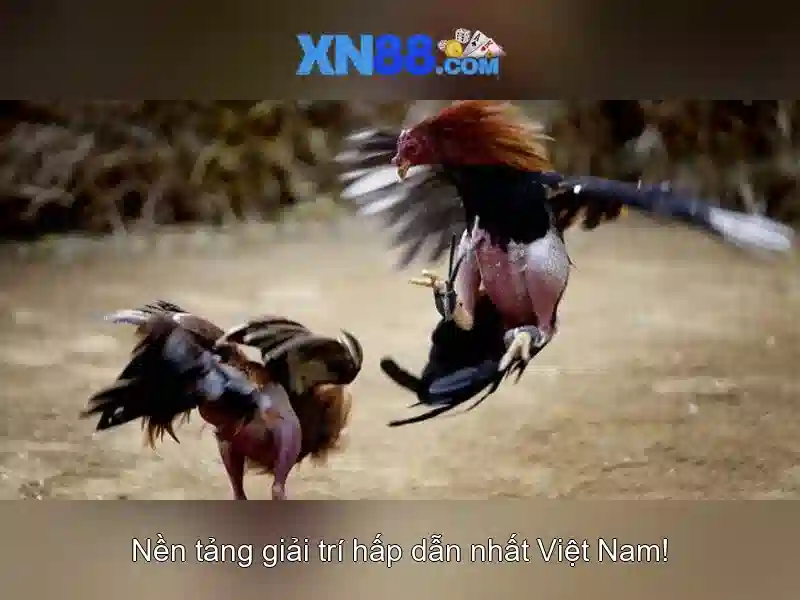 💎xn88 slot tactical analysis💎