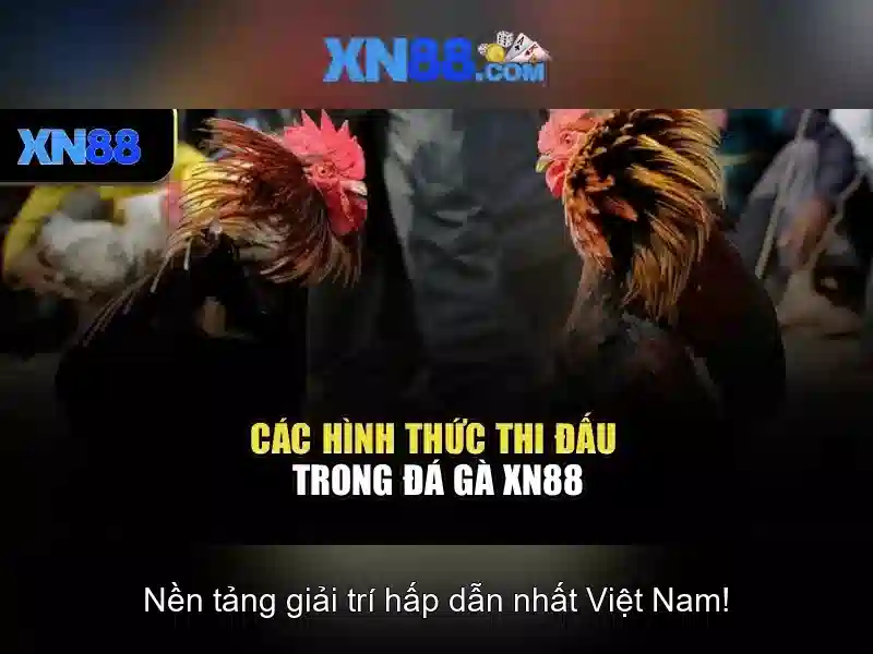 slot trực tuyến - XN88
