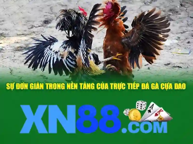 💎soi kèo nhà cái mu💎